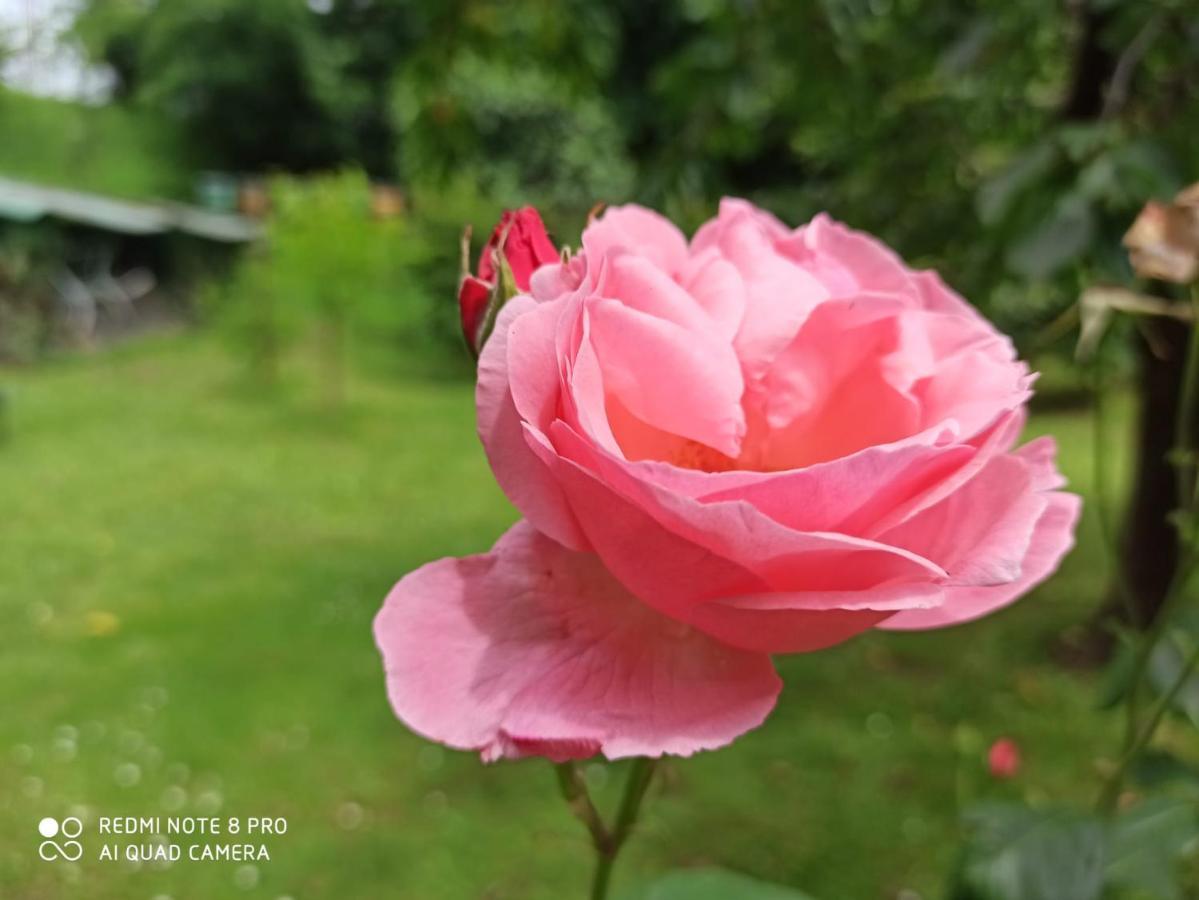 Casa Bibi Villa แบร์กาโม ภายนอก รูปภาพ